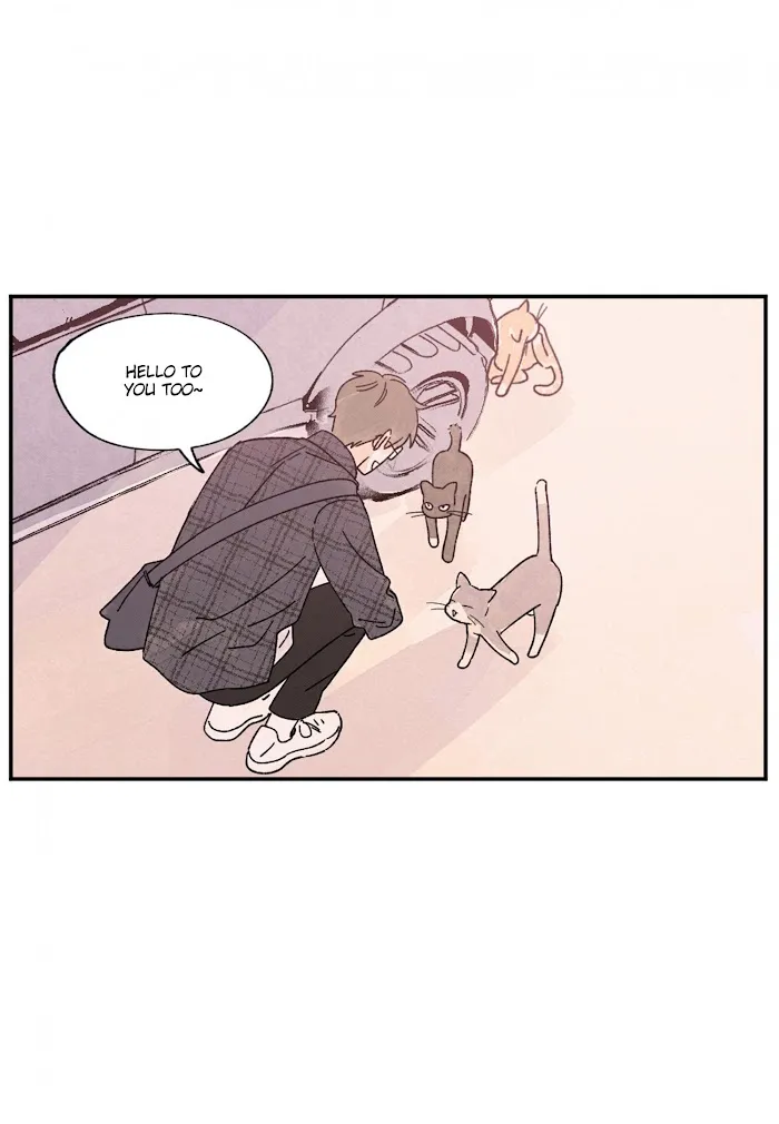 Kisses X Kiss X Kisses - Chapter 74 Page 40