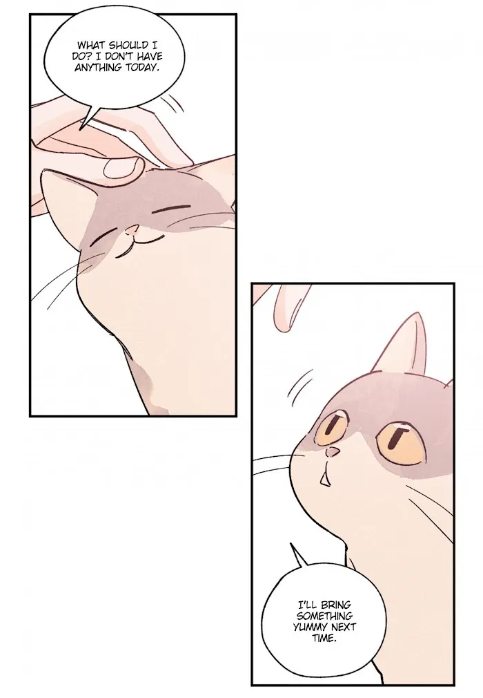 Kisses X Kiss X Kisses - Chapter 74 Page 41