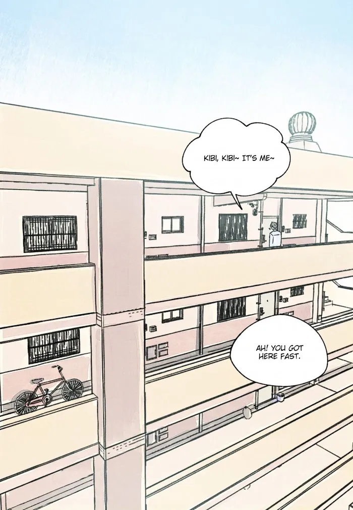 Kisses X Kiss X Kisses - Chapter 79 Page 27