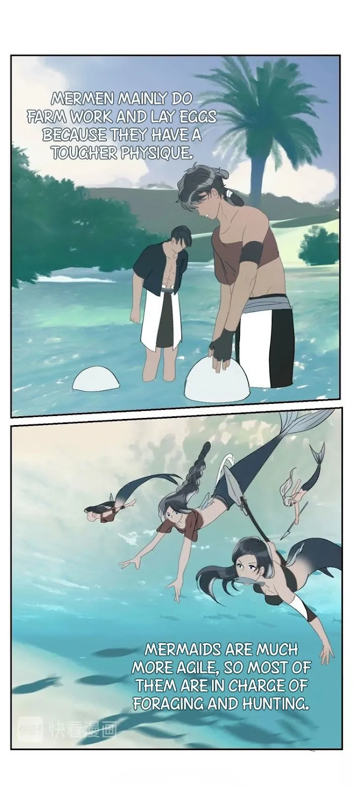 Mermaid’s Egg - Chapter 15 Page 13