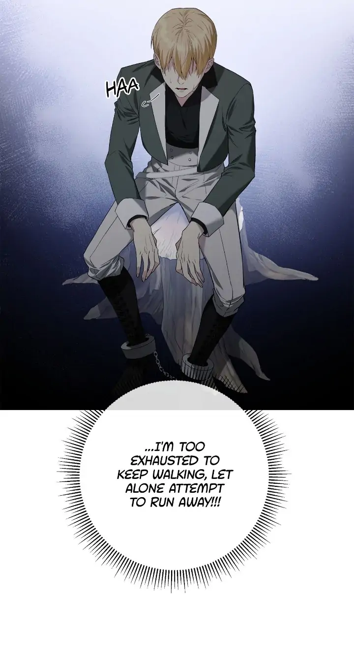 Two Empires: A Tale Of One Slave - Chapter 22 Page 21