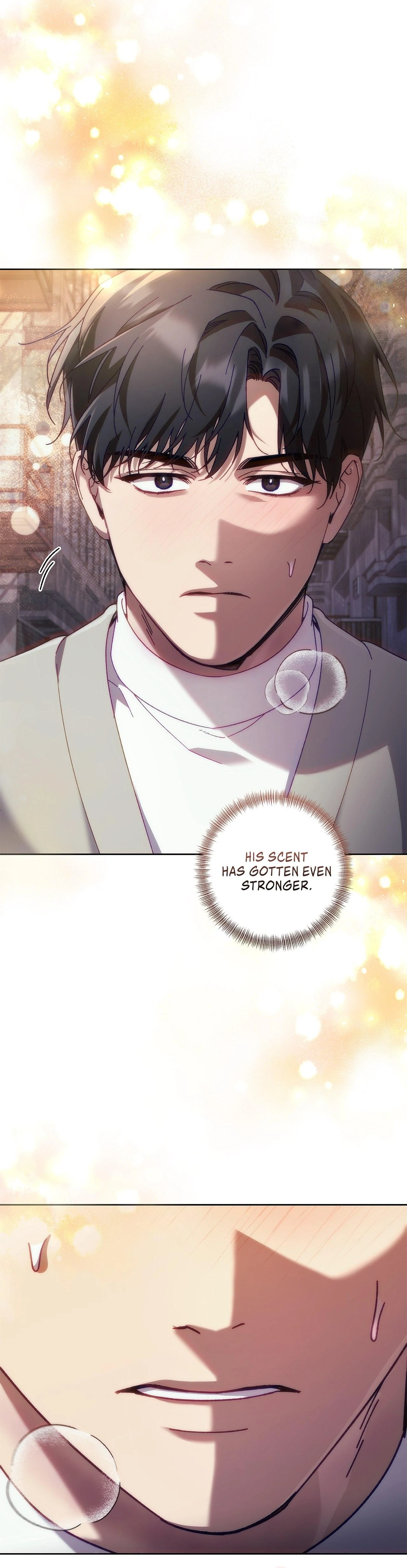 The S-Class Guide As Sweet As Honey [Mature Official] - Chapter 44.1 Page 19