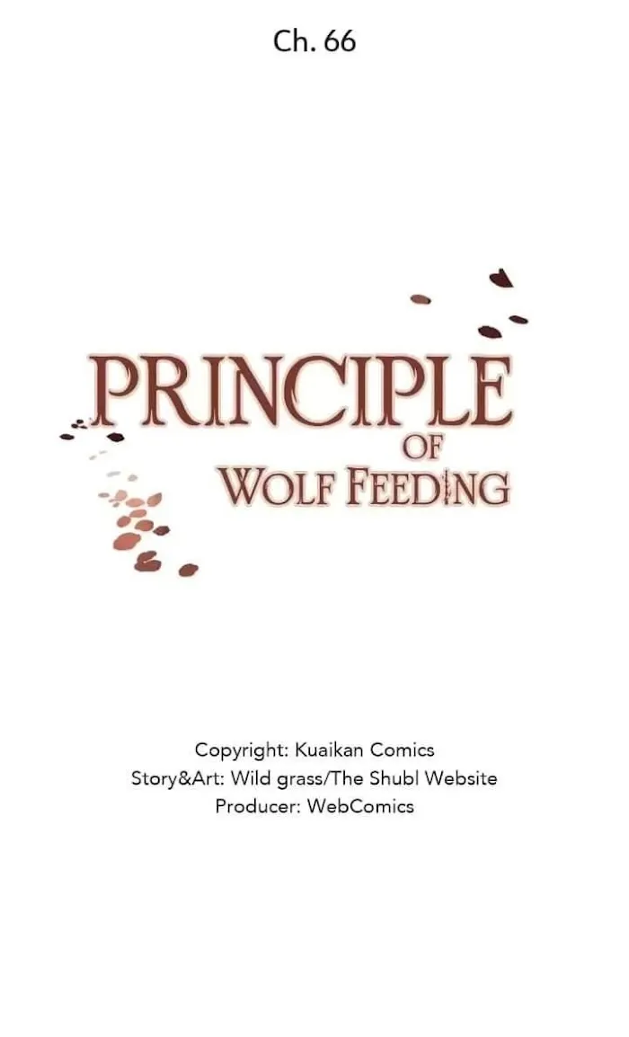 The Law Of Raising A Wolf - Chapter 66 Page 2