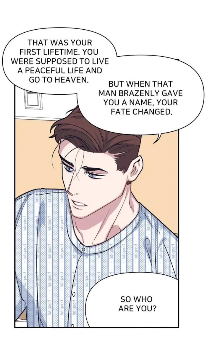 The President Who Always Treats Me Meals - Chapter 46 Page 5