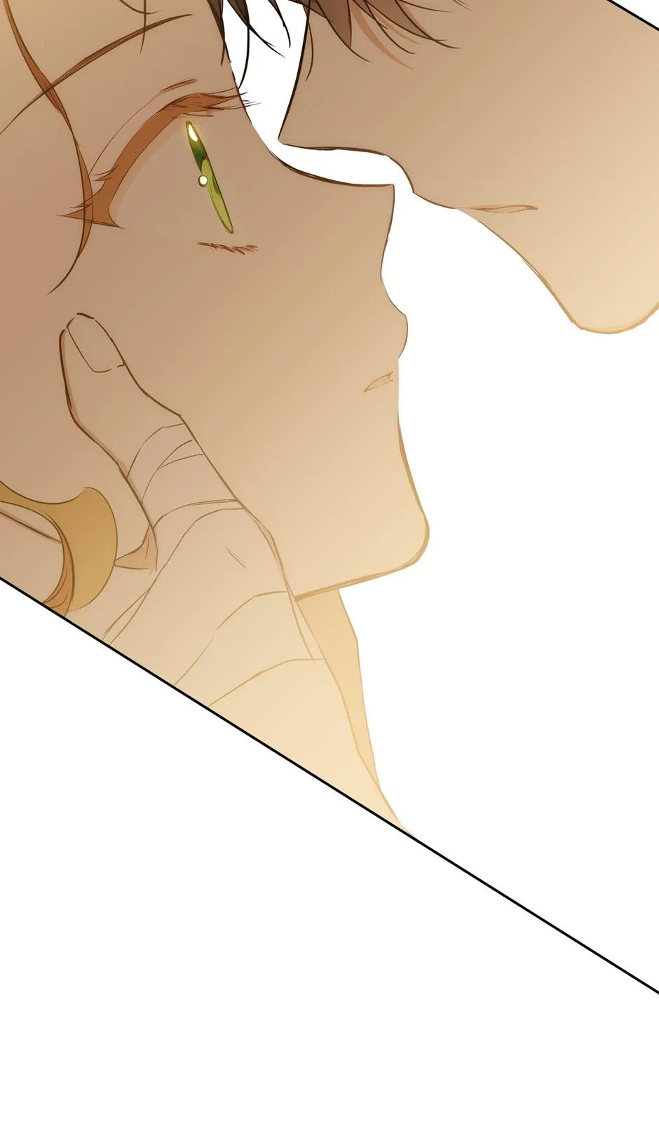 I’ll Be The Matriarch In This Life - Chapter 160 Page 70