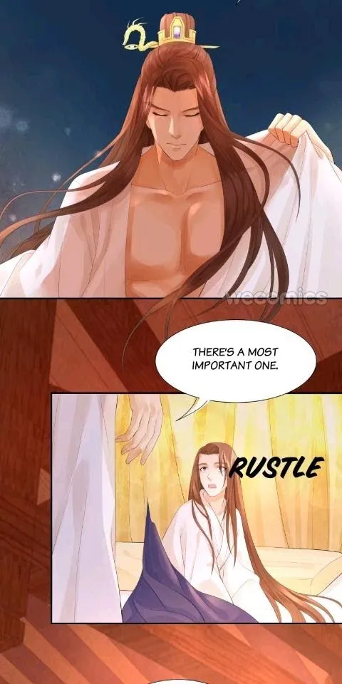 Phoenix Of The Nine Heavens - Chapter 11 Page 11