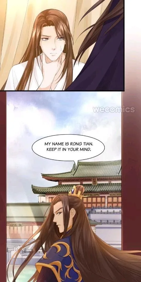 Phoenix Of The Nine Heavens - Chapter 9 Page 17