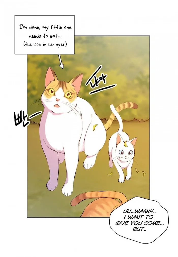 Affectionately - Chapter 5 Page 13