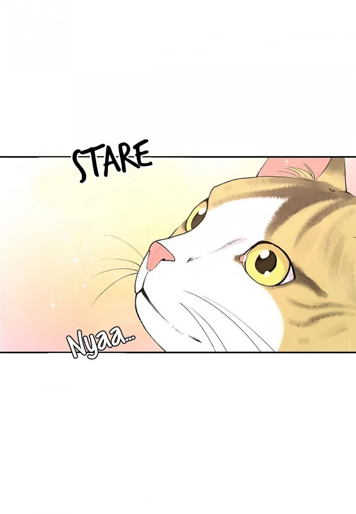 Affectionately - Chapter 5 Page 14