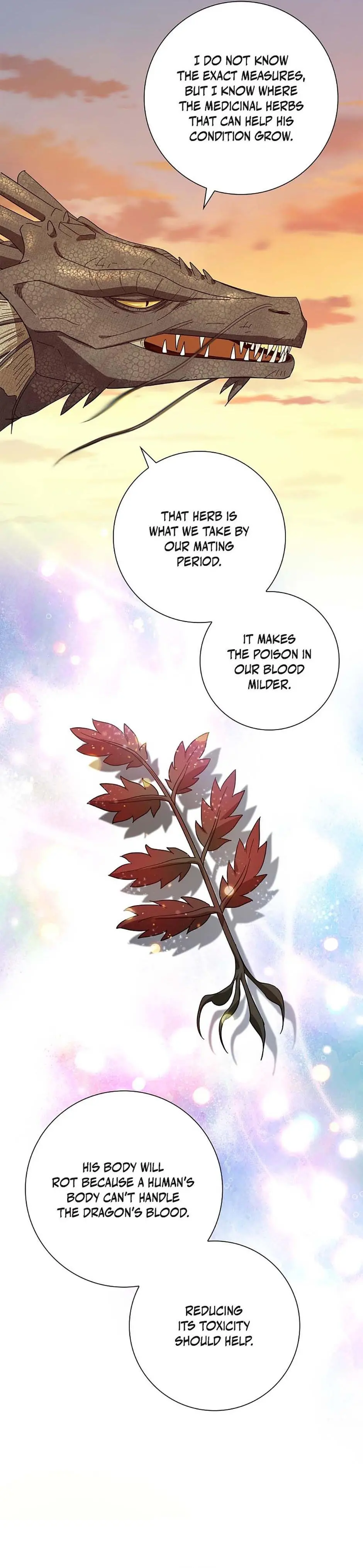 Full Moon Alchemist - Chapter 96 Page 24