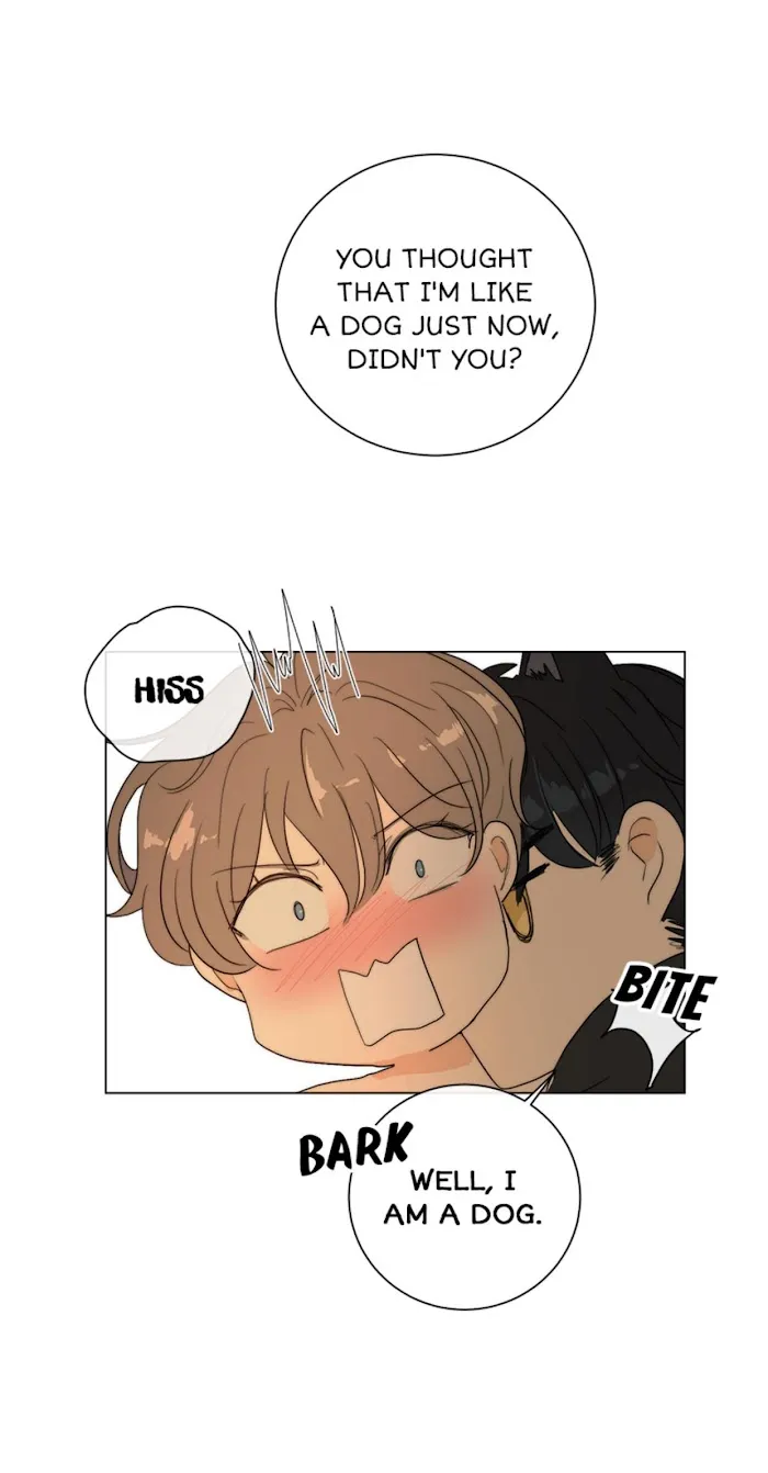 From Now On, I’m Your Dog - Chapter 13 Page 12