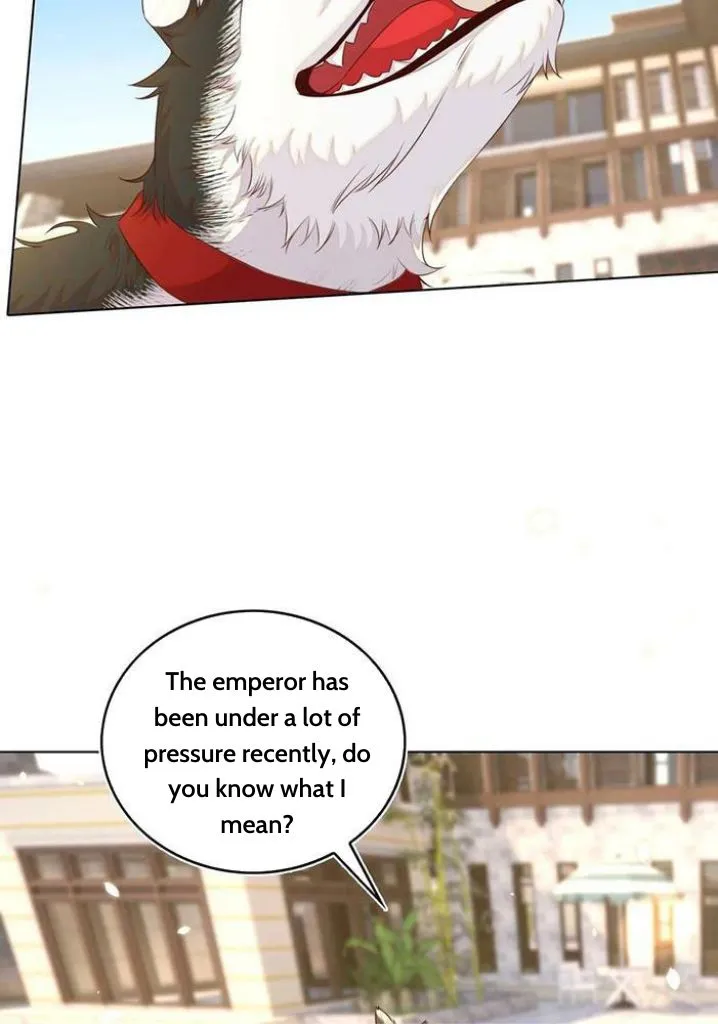 Stop Bothering Me, Emperor! - Chapter 101 Page 51
