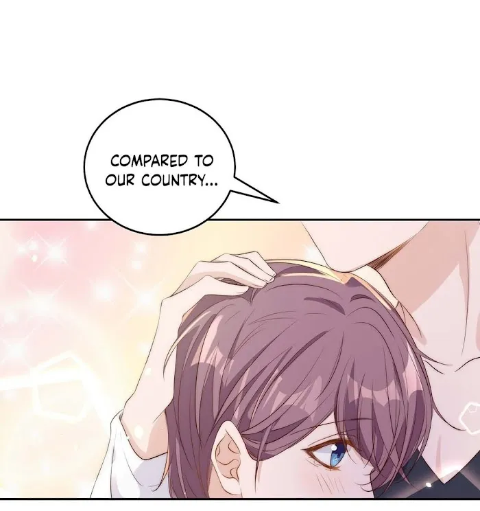 Stop Bothering Me, Emperor! - Chapter 21.2 Page 18