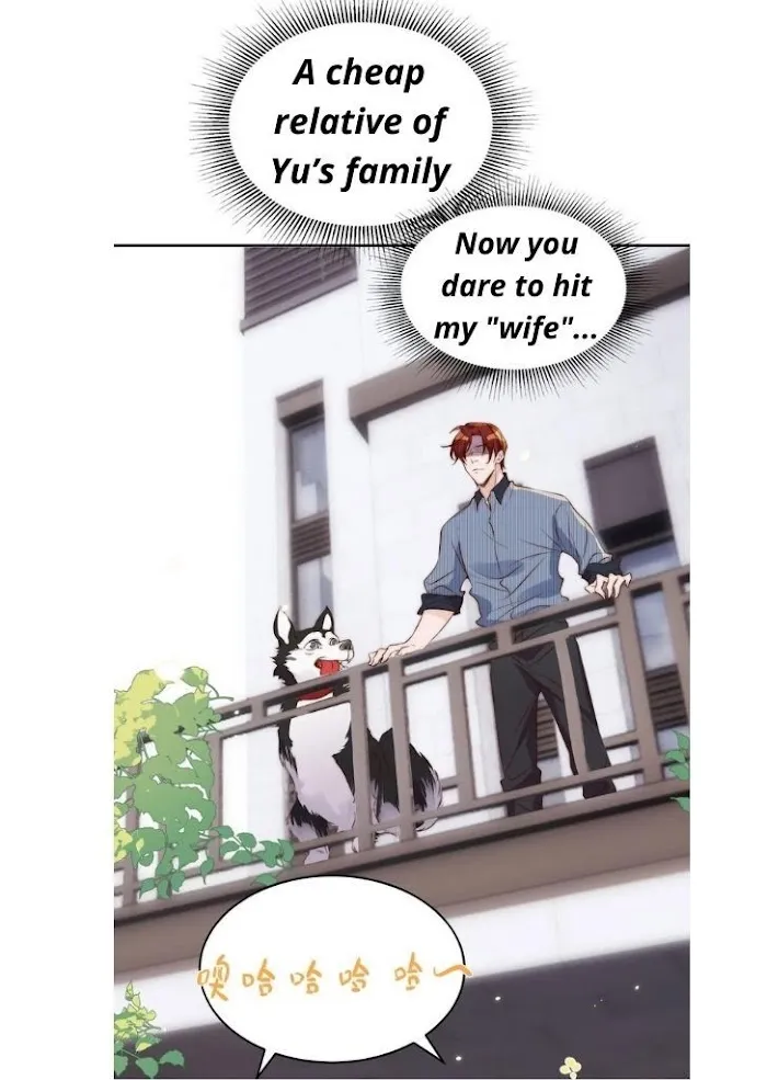 Stop Bothering Me, Emperor! - Chapter 29 Page 34