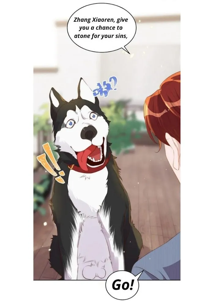 Stop Bothering Me, Emperor! - Chapter 29 Page 37