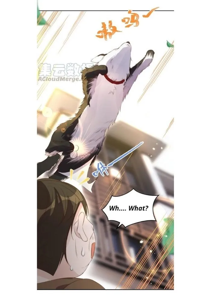 Stop Bothering Me, Emperor! - Chapter 29 Page 40