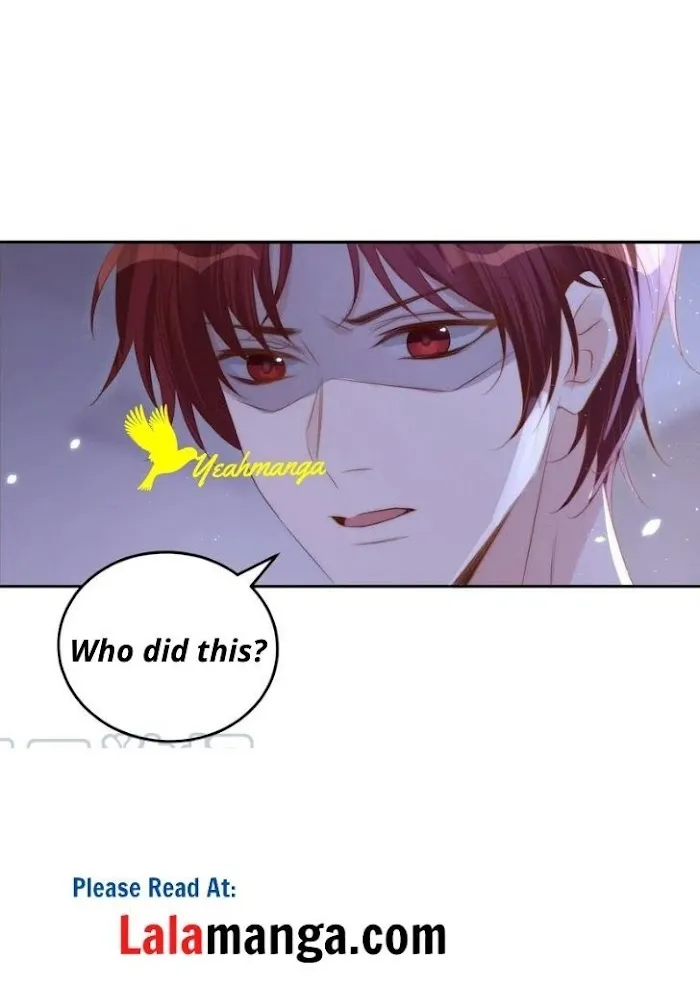 Stop Bothering Me, Emperor! - Chapter 32 Page 18