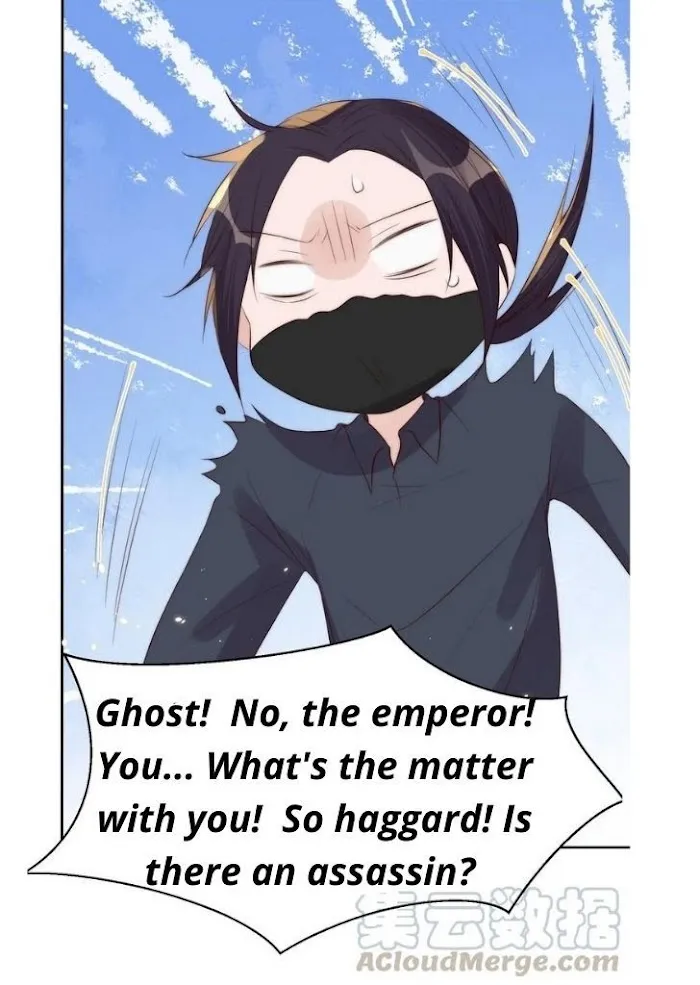Stop Bothering Me, Emperor! - Chapter 36 Page 52