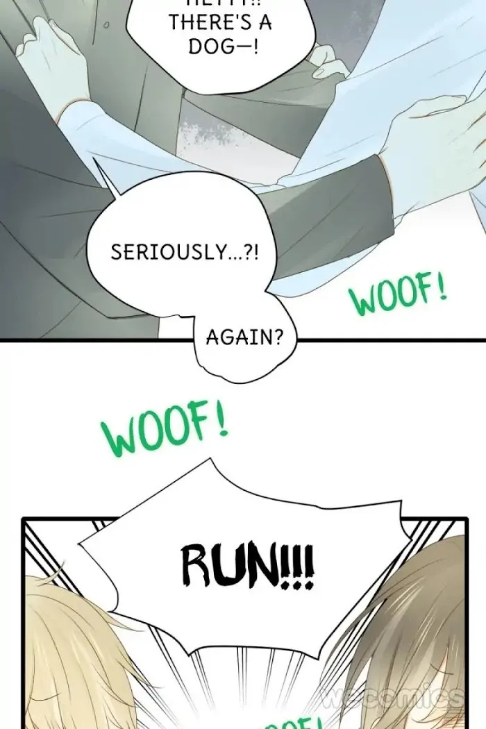 Dragon Boys’ Love Affairs - Chapter 34 Page 13