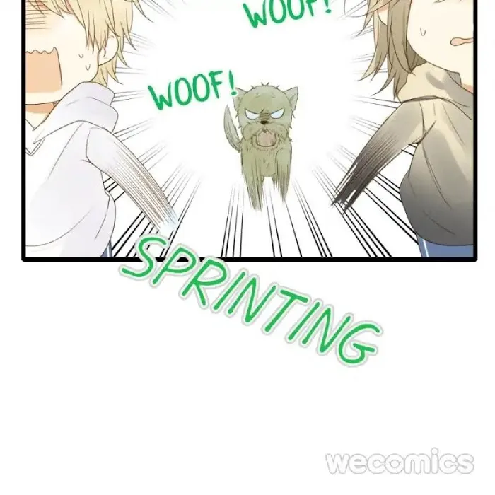 Dragon Boys’ Love Affairs - Chapter 34 Page 14