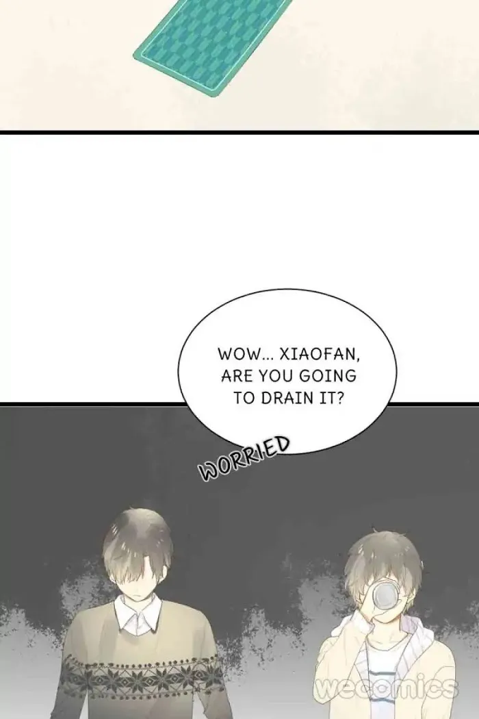 Dragon Boys’ Love Affairs - Chapter 38 Page 19