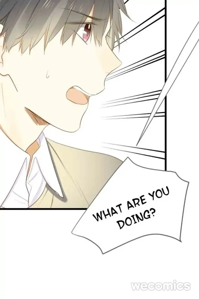Dragon Boys’ Love Affairs - Chapter 40 Page 31