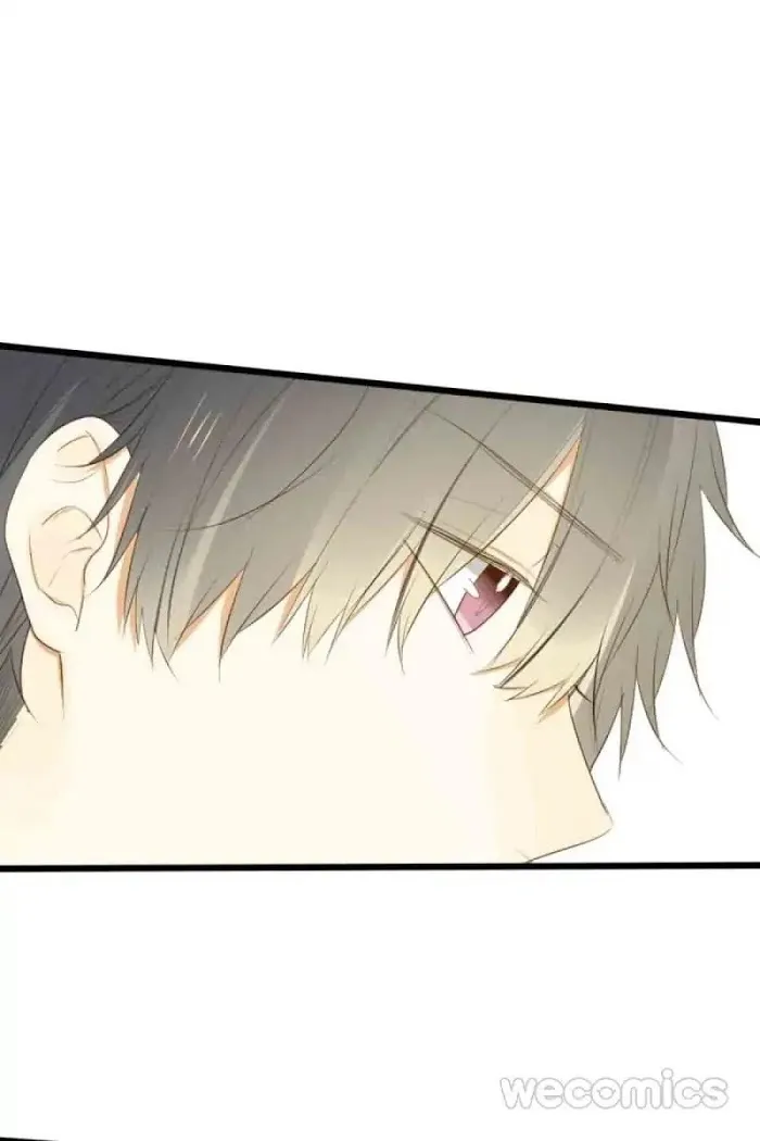Dragon Boys’ Love Affairs - Chapter 40 Page 41