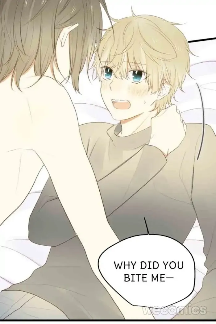 Dragon Boys’ Love Affairs - Chapter 43 Page 30