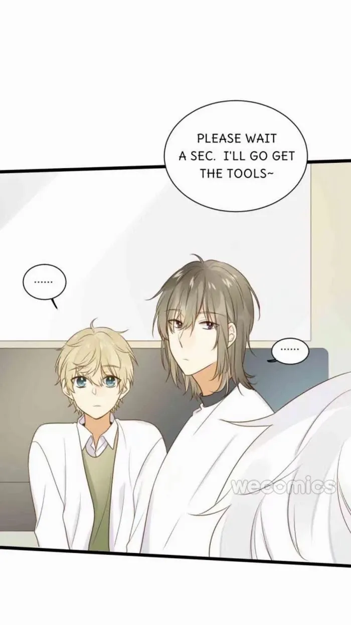 Dragon Boys’ Love Affairs - Chapter 77 Page 15