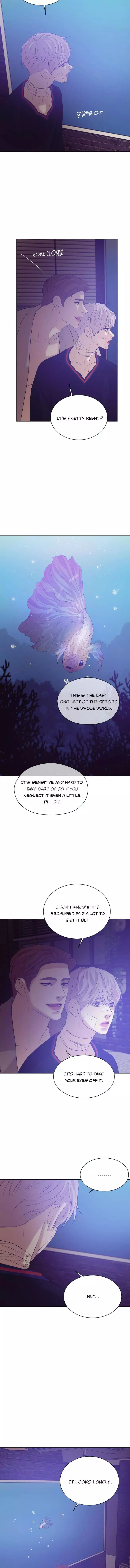 Pearl Boy - Chapter 29 Page 8