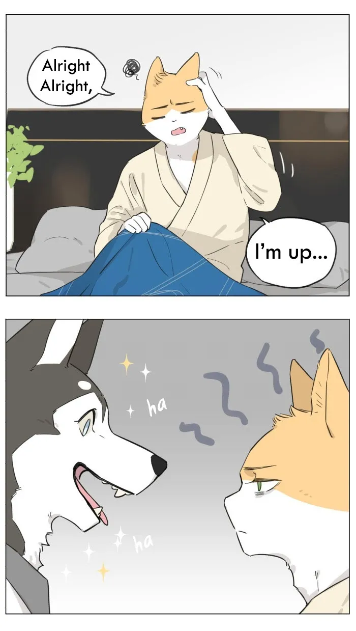 Wolf Butler And His Cat Master - Chapter 10 Page 3