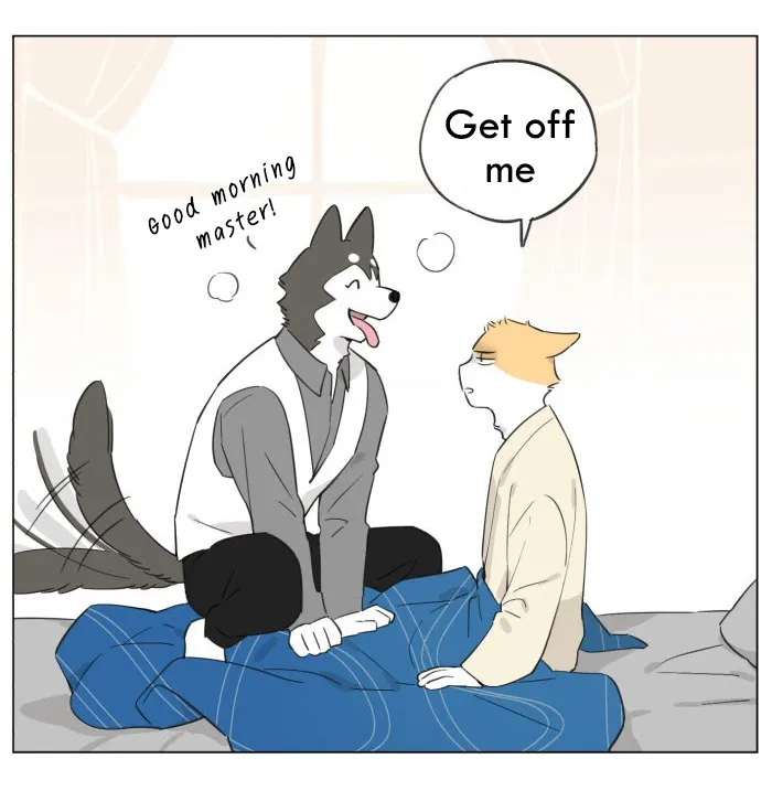 Wolf Butler And His Cat Master - Chapter 10 Page 4