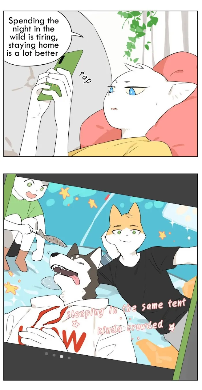 Wolf Butler And His Cat Master - Chapter 13 Page 2