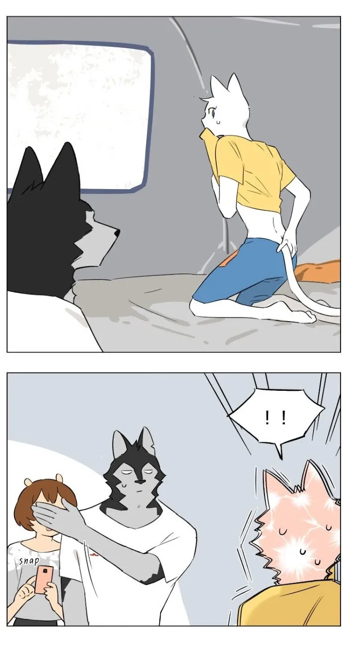 Wolf Butler And His Cat Master - Chapter 14 Page 4