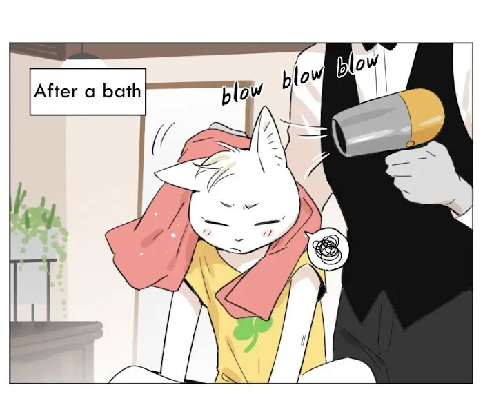 Wolf Butler And His Cat Master - Chapter 4 Page 3