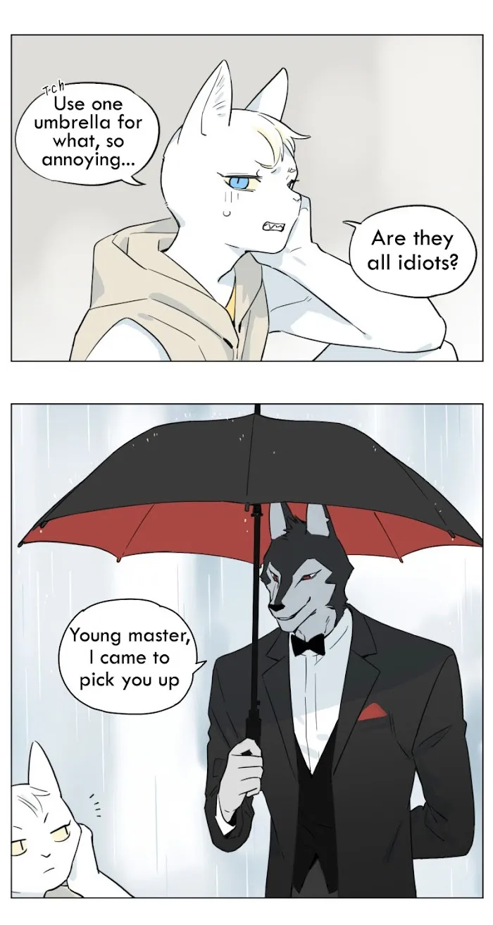 Wolf Butler And His Cat Master - Chapter 5 Page 2