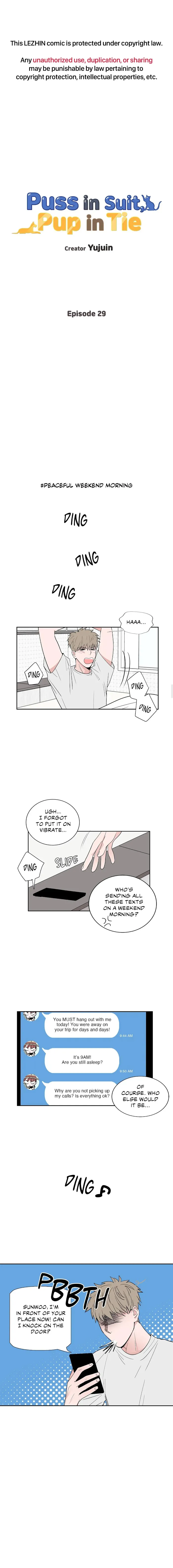 Cat’s Suit, Dog’s Tie - Chapter 29 Page 1
