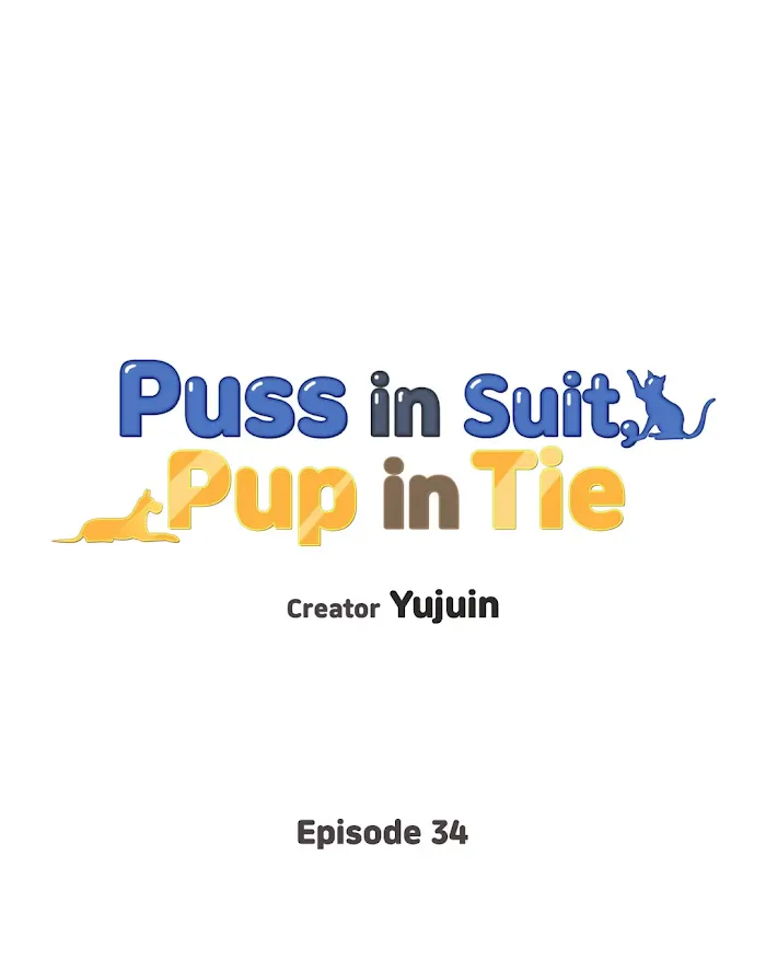 Cat’s Suit, Dog’s Tie - Chapter 34 Page 1