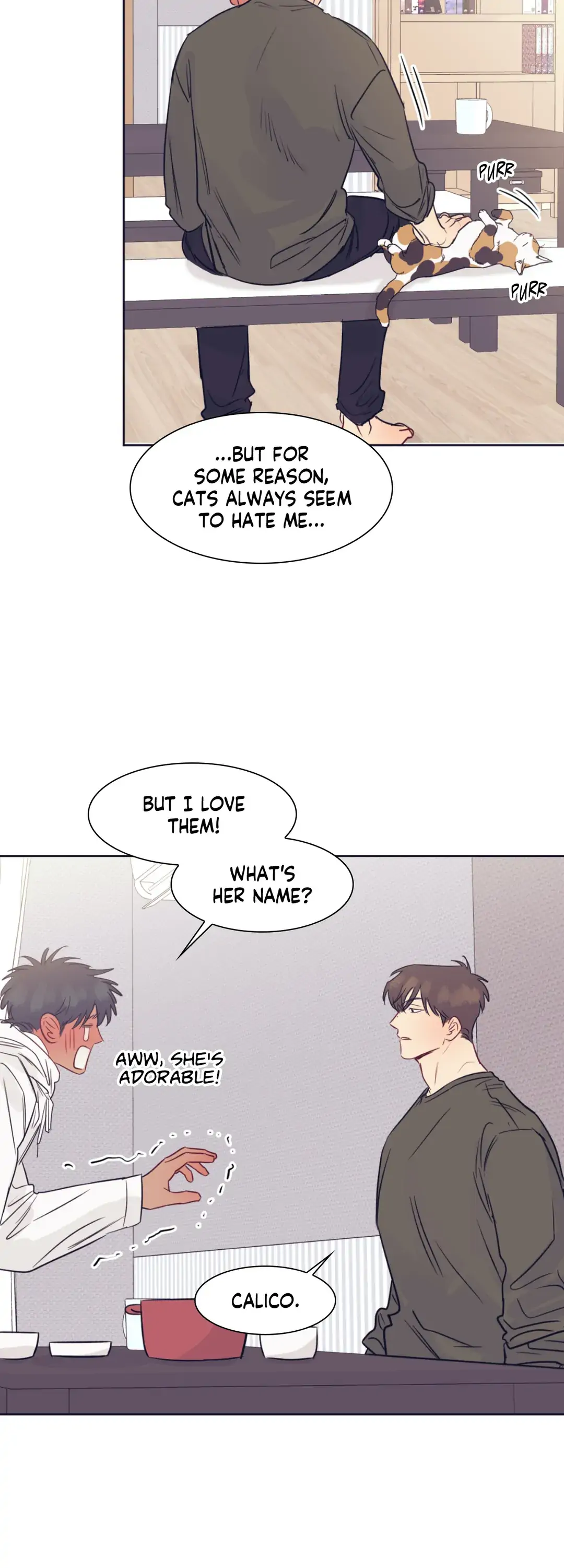Perfectly Broken Love - Chapter 19 Page 15