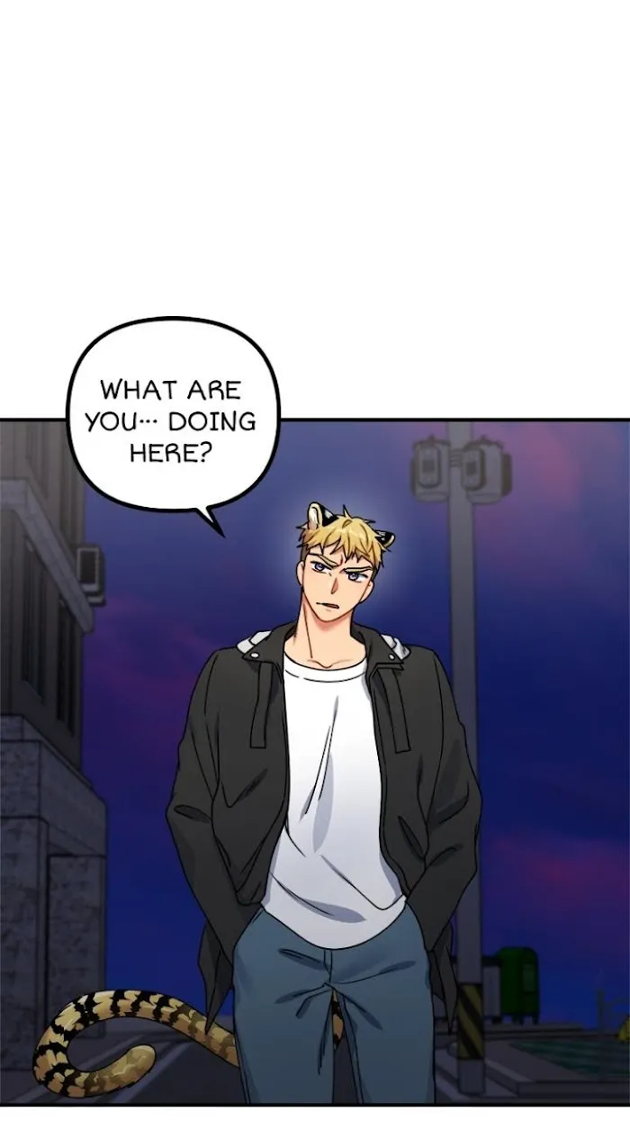 Tiger’s Wedding Day - Chapter 19 Page 2