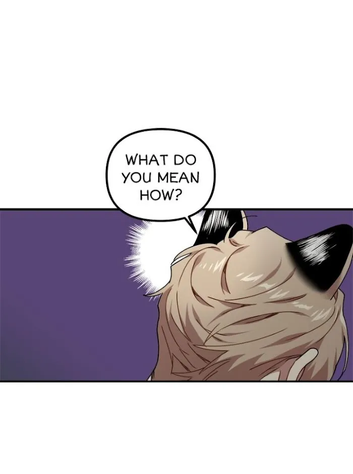 Tiger’s Wedding Day - Chapter 19 Page 29