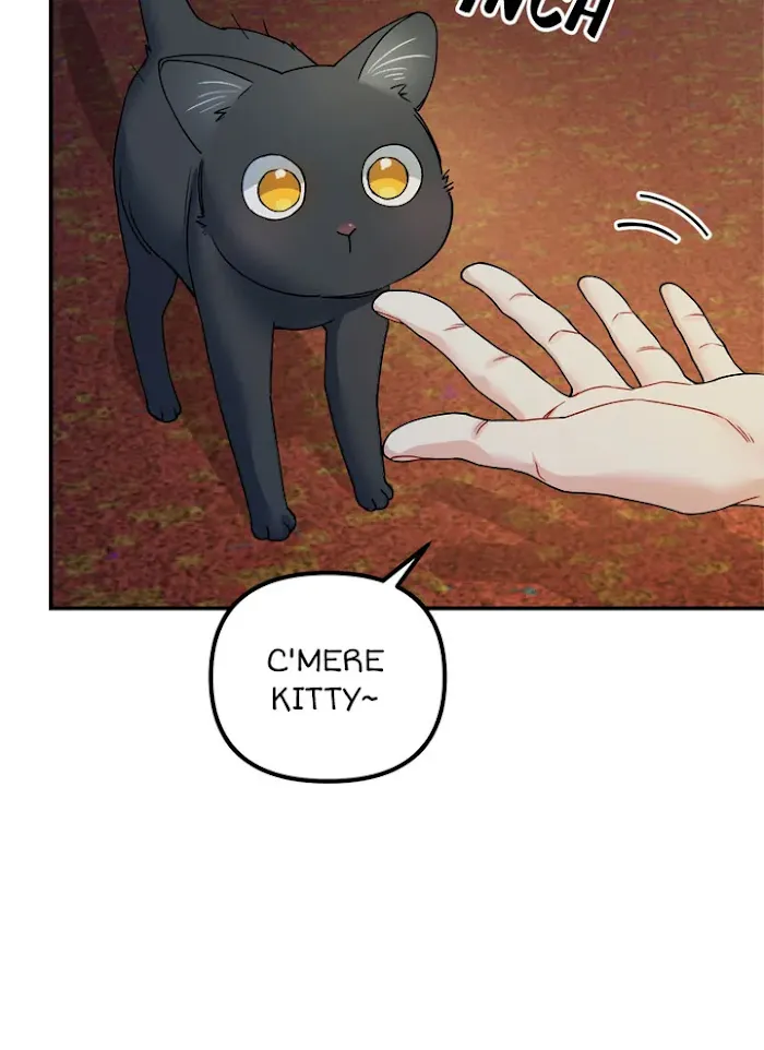 Tiger’s Wedding Day - Chapter 79 Page 81