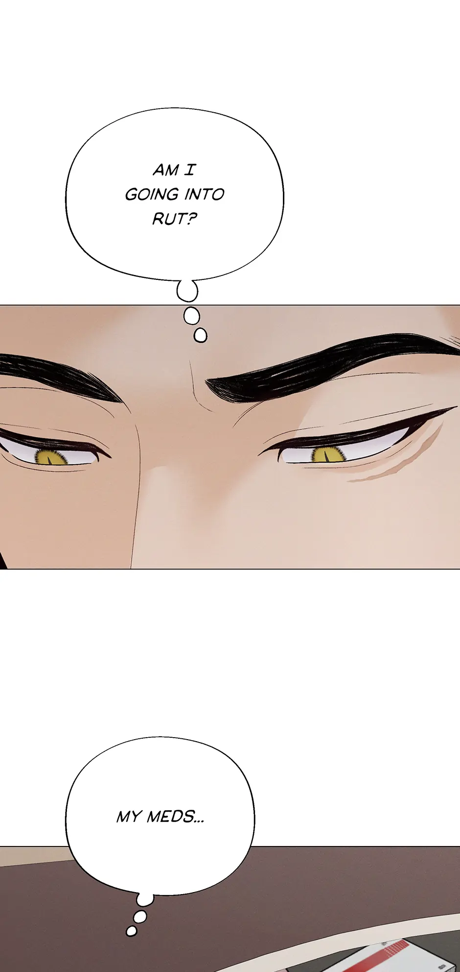 The Tiger’s Cradle - Chapter 38 Page 9