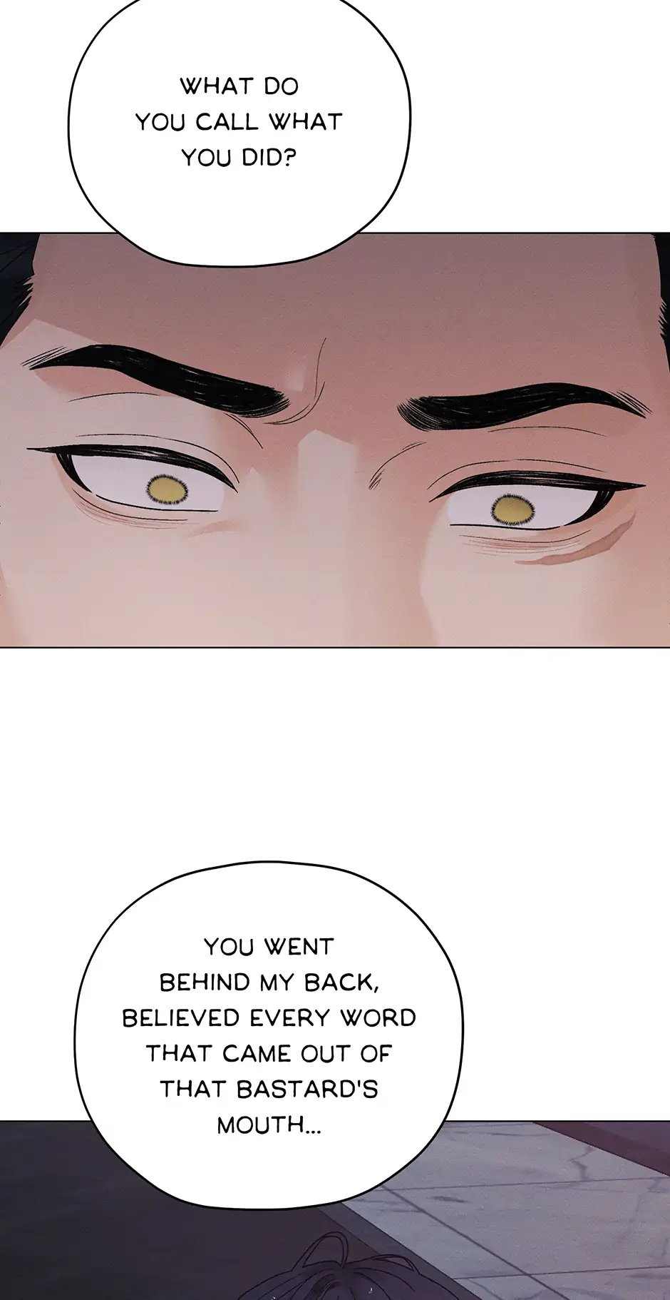 The Tiger’s Cradle - Chapter 39 Page 14