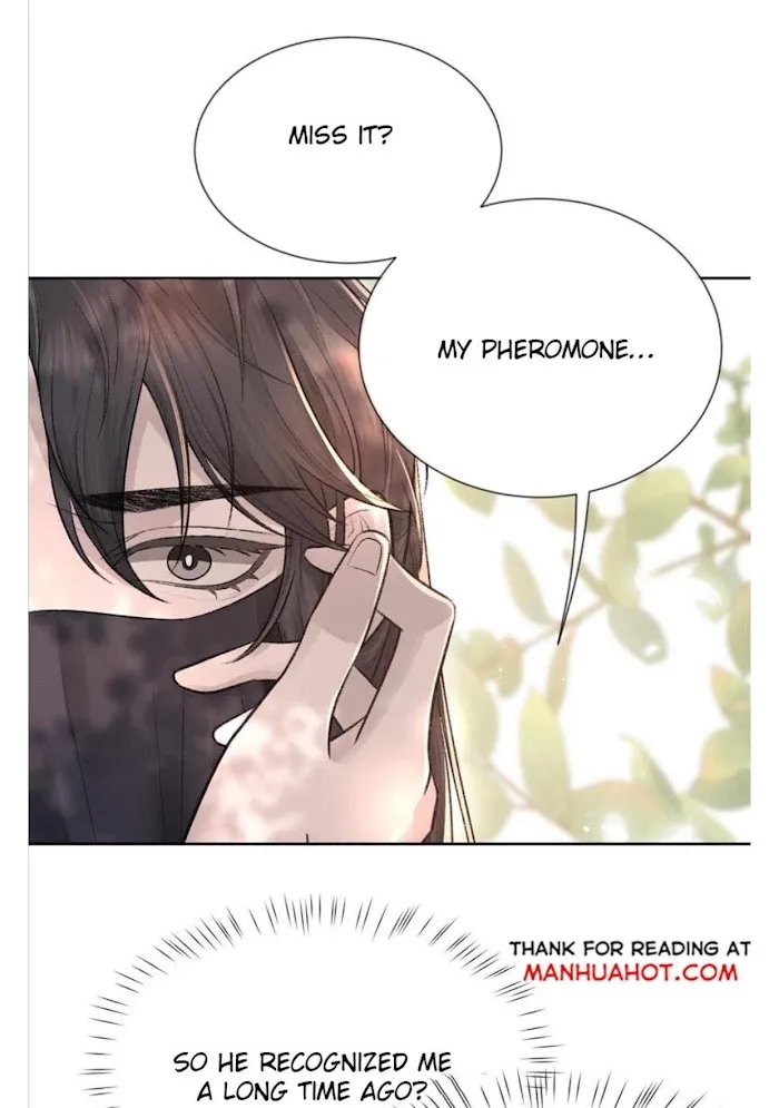 Morbid Attachment - Chapter 3 Page 19