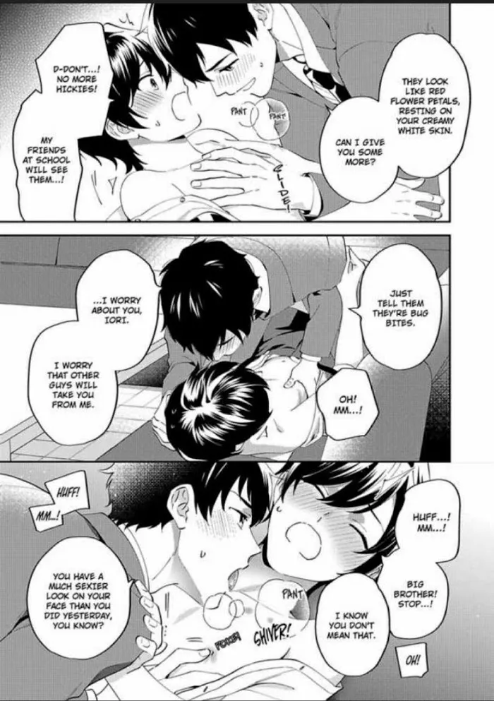 Onii-Chan Datte Amaetai Wake De - Chapter 1 Page 28