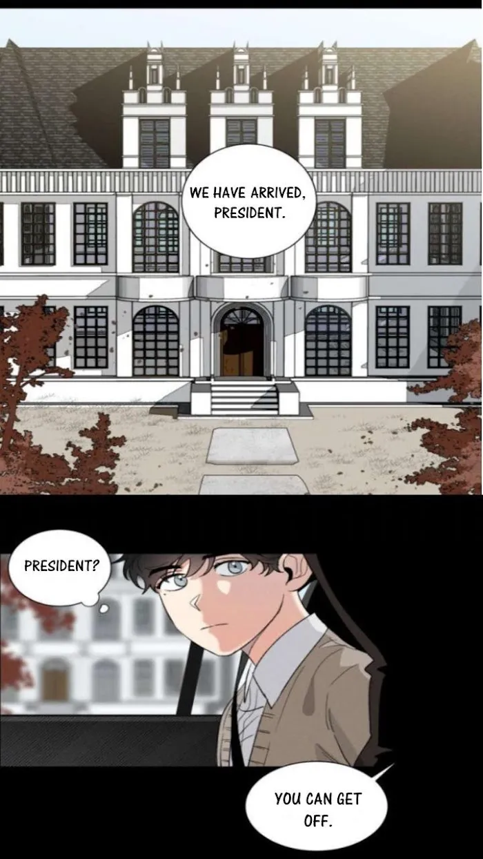 Your Devotion is My Salvation - Chapter 5 Page 11