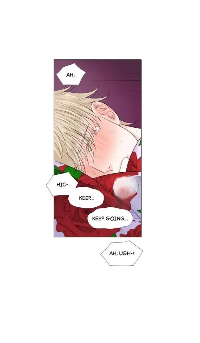 Wish Me Love - Chapter 73 Page 1