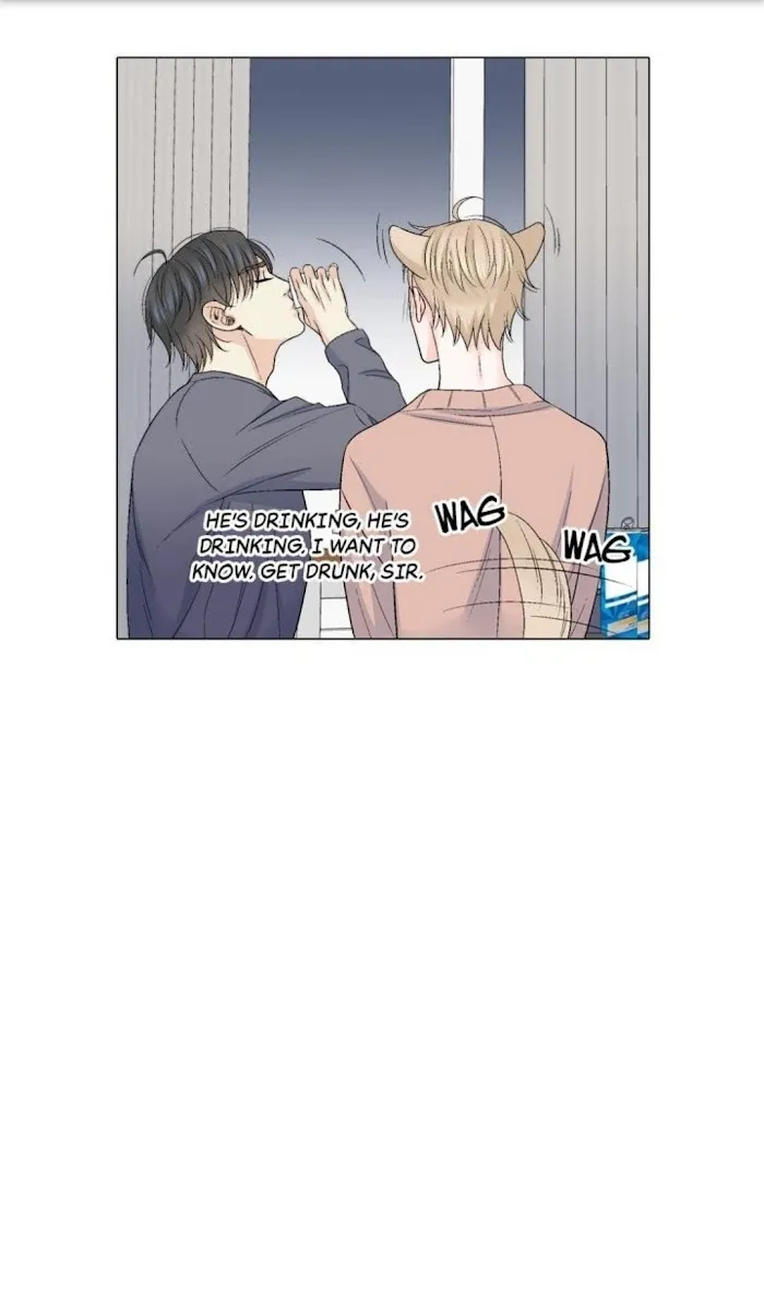 Wish Me Love - Chapter 76 Page 10