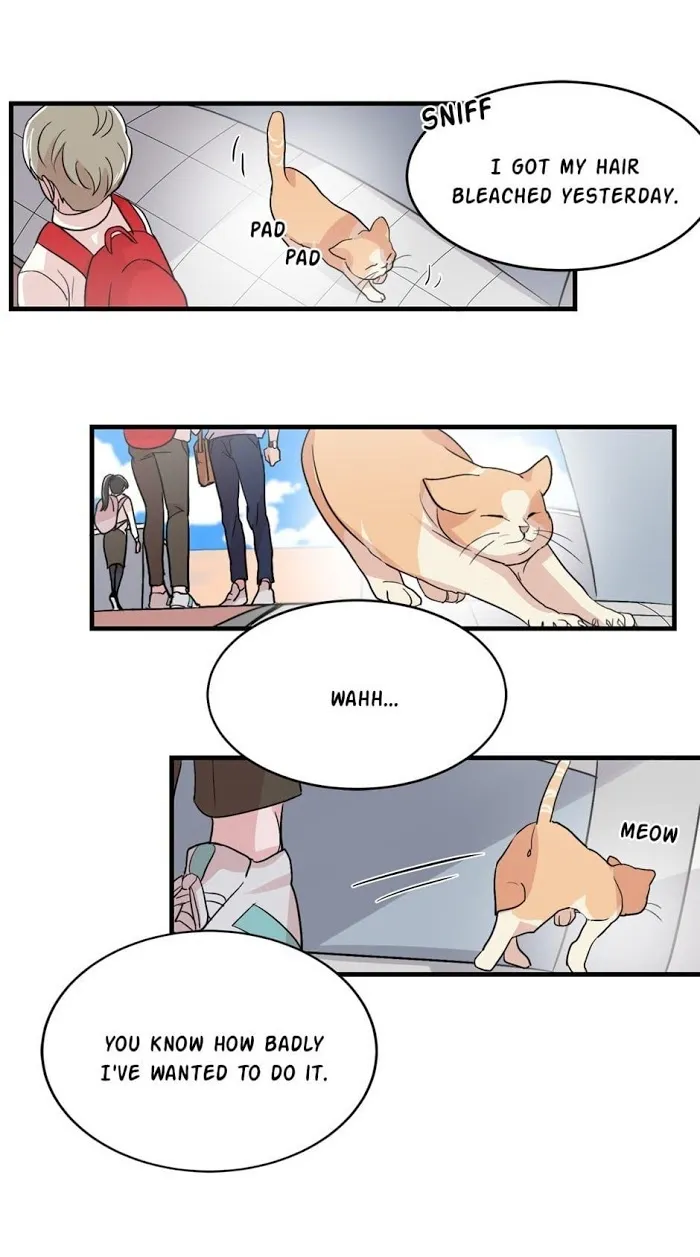Till Our Lips Touch - Chapter 11 Page 12